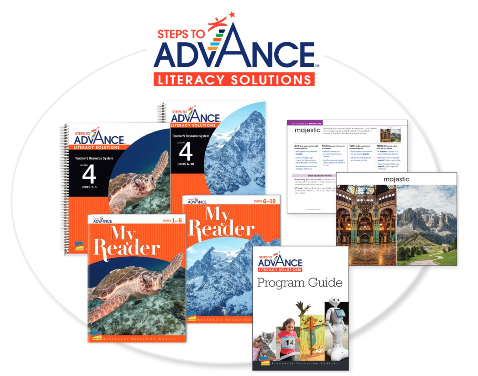 Steps to Advance Literacy Solutions