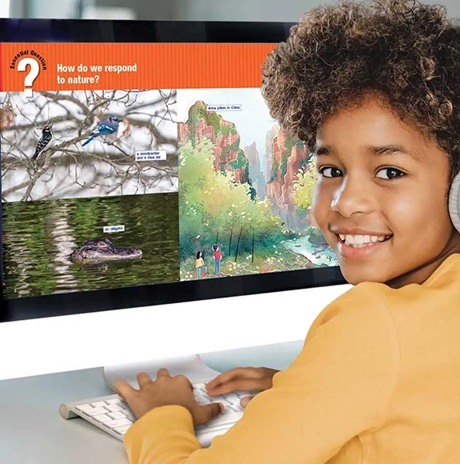 Steps to Advance Literacy Solutions
